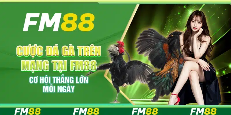 Cược Đá Gà Trên Mạng Tại FM88 - Cơ Hội Thắng Lớn Mỗi Ngày