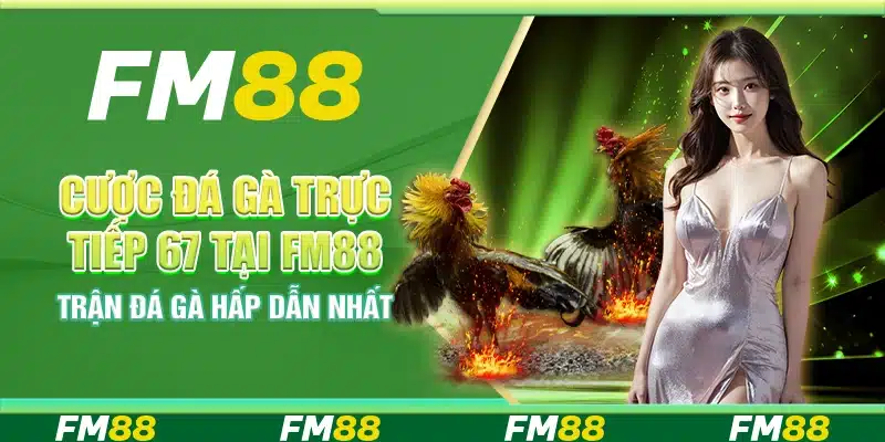 Cược Đá Gà Trực Tiếp 67 Tại FM88 - Trận Đá Gà Hấp Dẫn Nhất