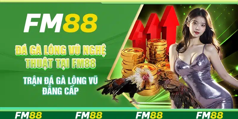 Đá Gà Lông Vũ Nghệ Thuật Tại Fm88 - Trận Đá Gà Đẳng Cấp