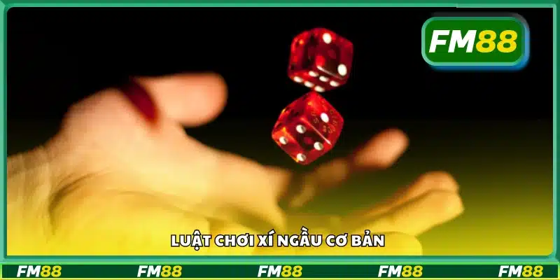 Hướng dẫn luật chơi cơ bản trong xí ngầu 