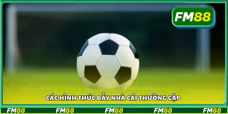 Những kiểu bẫy cược phổ biến mà nhà cái hay dùng